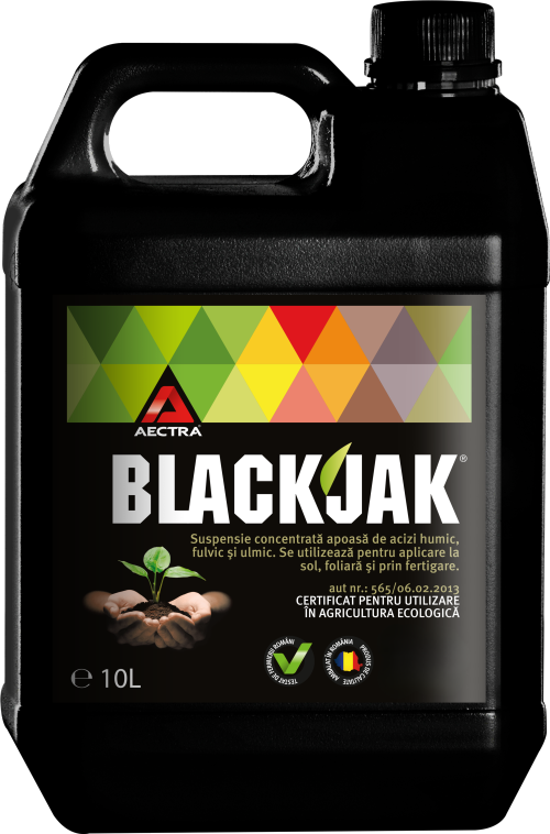 Blackjak – การเตรียมเมล็ดพันธุ์