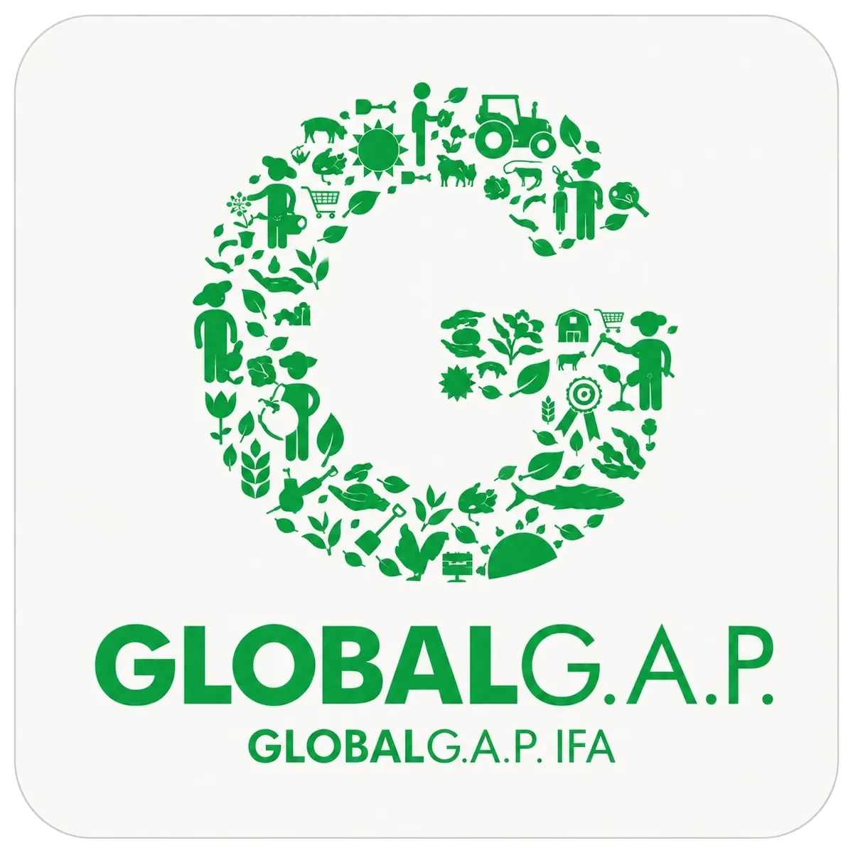 Obrázek ChatGPT 2. srpna 2026, 07_21_15 PM (3).png